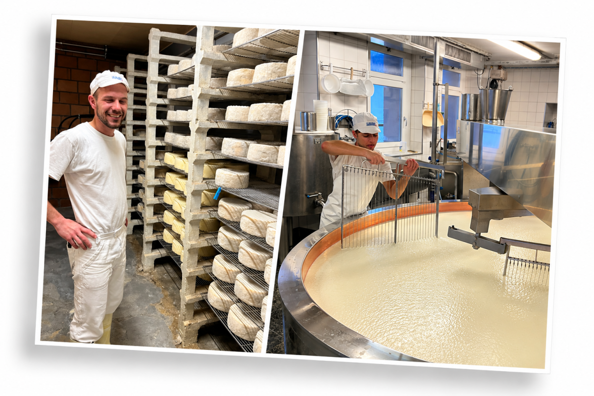 Visit to a dairy facility equipped with the EGOTRACE traceability platform, illustrating the practical application of digital technologies to cheese production and maturation processes.